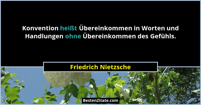 Konvention heißt Übereinkommen in Worten und Handlungen ohne Übereinkommen des Gefühls.... - Friedrich Nietzsche