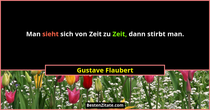 Man sieht sich von Zeit zu Zeit, dann stirbt man.... - Gustave Flaubert