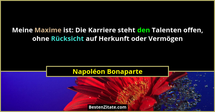 Meine Maxime ist: Die Karriere steht den Talenten offen, ohne Rücksicht auf Herkunft oder Vermögen... - Napoléon Bonaparte