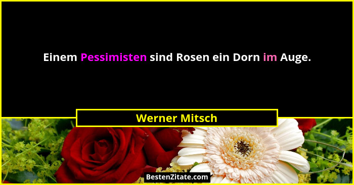 Einem Pessimisten sind Rosen ein Dorn im Auge.... - Werner Mitsch