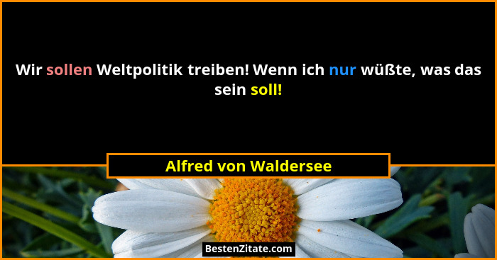 Wir sollen Weltpolitik treiben! Wenn ich nur wüßte, was das sein soll!... - Alfred von Waldersee
