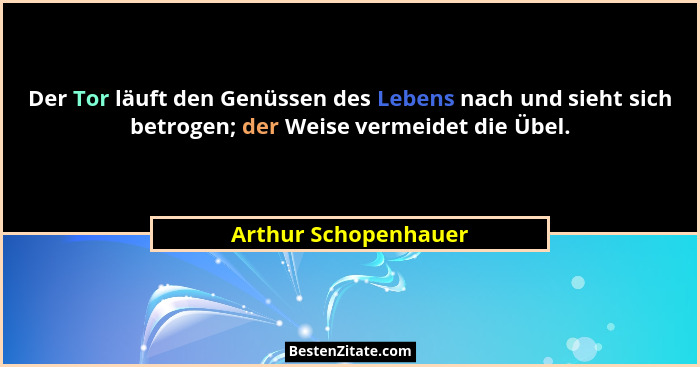 Der Tor läuft den Genüssen des Lebens nach und sieht sich betrogen; der Weise vermeidet die Übel.... - Arthur Schopenhauer