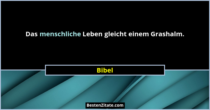 Das menschliche Leben gleicht einem Grashalm.... - Bibel