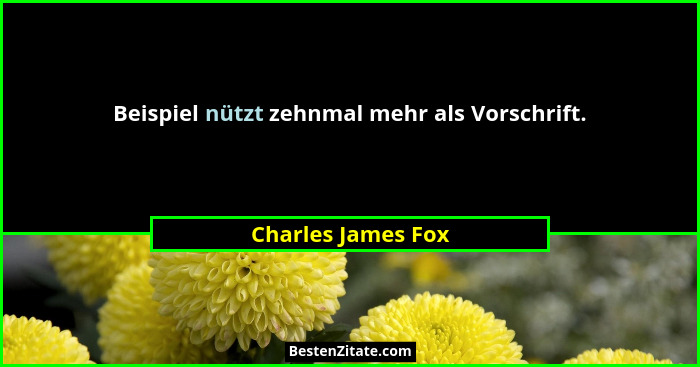 Beispiel nützt zehnmal mehr als Vorschrift.... - Charles James Fox