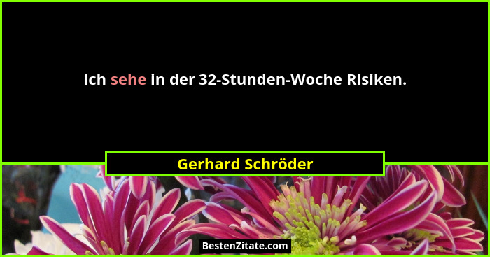 Ich sehe in der 32-Stunden-Woche Risiken.... - Gerhard Schröder