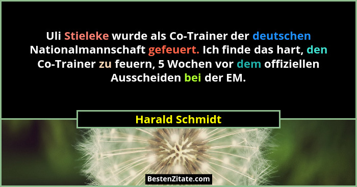 Uli Stieleke wurde als Co-Trainer der deutschen Nationalmannschaft gefeuert. Ich finde das hart, den Co-Trainer zu feuern, 5 Wochen v... - Harald Schmidt