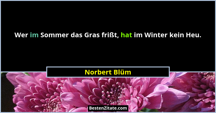 Wer im Sommer das Gras frißt, hat im Winter kein Heu.... - Norbert Blüm