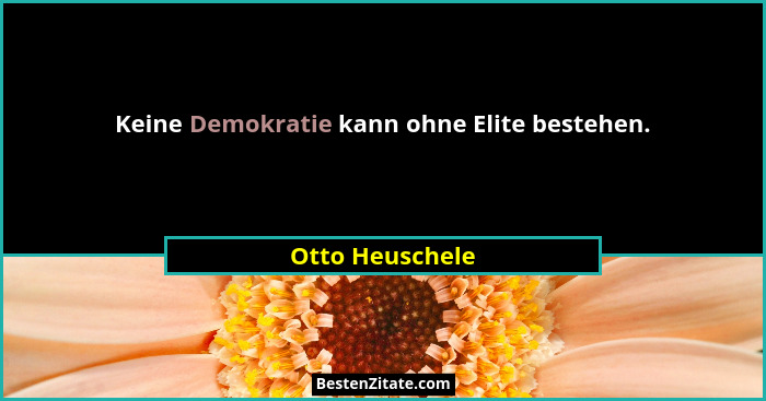 Keine Demokratie kann ohne Elite bestehen.... - Otto Heuschele
