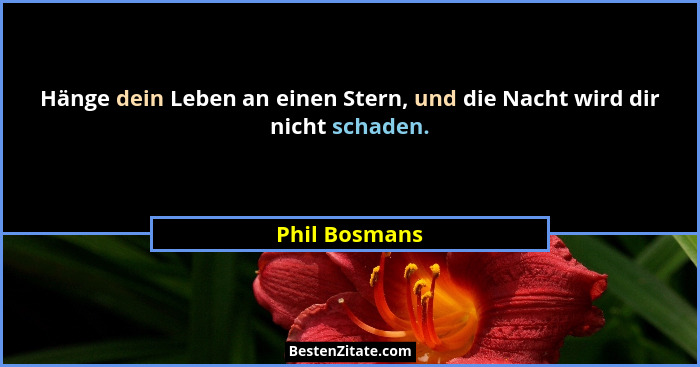 Hänge dein Leben an einen Stern, und die Nacht wird dir nicht schaden.... - Phil Bosmans