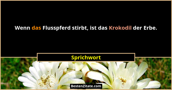 Wenn das Flusspferd stirbt, ist das Krokodil der Erbe.... - Sprichwort