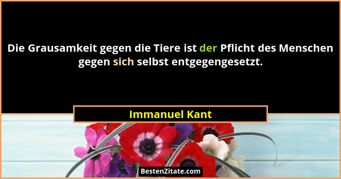 Die Grausamkeit gegen die Tiere ist der Pflicht des Menschen gegen sich selbst entgegengesetzt.... - Immanuel Kant