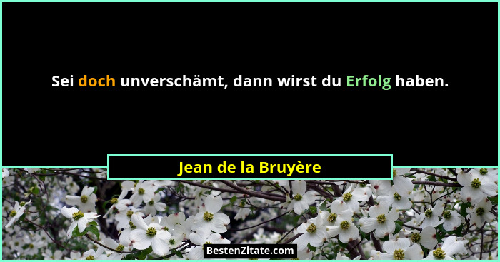 Sei doch unverschämt, dann wirst du Erfolg haben.... - Jean de la Bruyère