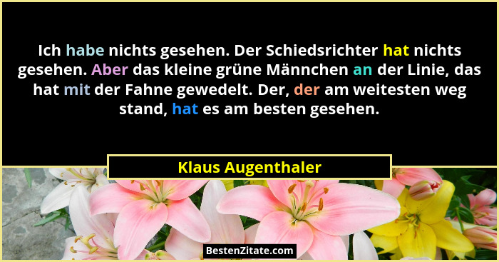 Ich habe nichts gesehen. Der Schiedsrichter hat nichts gesehen. Aber das kleine grüne Männchen an der Linie, das hat mit der Fahne... - Klaus Augenthaler