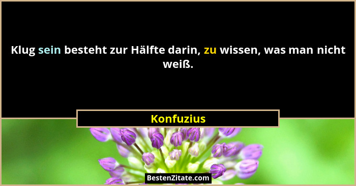 Klug sein besteht zur Hälfte darin, zu wissen, was man nicht weiß.... - Konfuzius