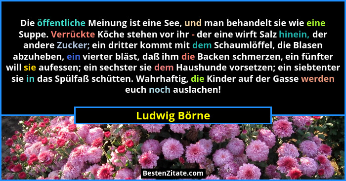 Die öffentliche Meinung ist eine See, und man behandelt sie wie eine Suppe. Verrückte Köche stehen vor ihr - der eine wirft Salz hinein... - Ludwig Börne