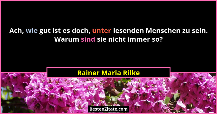 Ach, wie gut ist es doch, unter lesenden Menschen zu sein. Warum sind sie nicht immer so?... - Rainer Maria Rilke