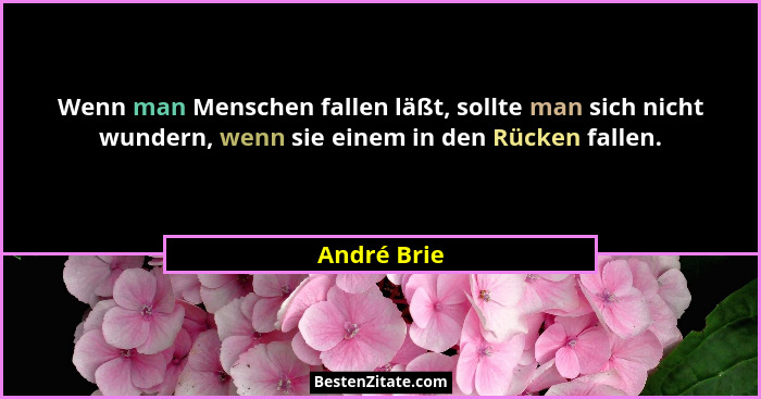 Wenn man Menschen fallen läßt, sollte man sich nicht wundern, wenn sie einem in den Rücken fallen.... - André Brie