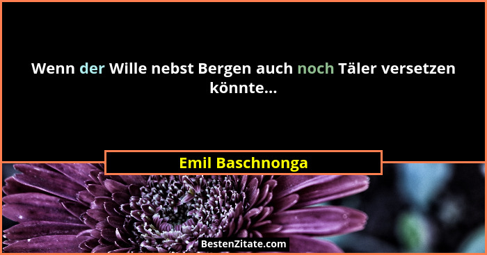 Wenn der Wille nebst Bergen auch noch Täler versetzen könnte...... - Emil Baschnonga