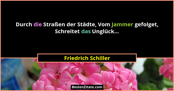 Durch die Straßen der Städte, Vom Jammer gefolget, Schreitet das Unglück...... - Friedrich Schiller