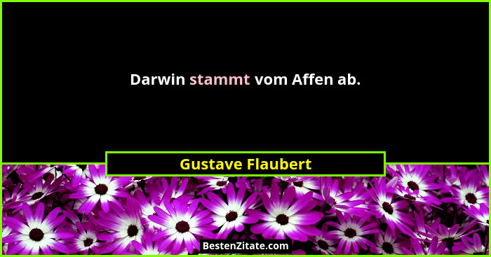 Darwin stammt vom Affen ab.... - Gustave Flaubert