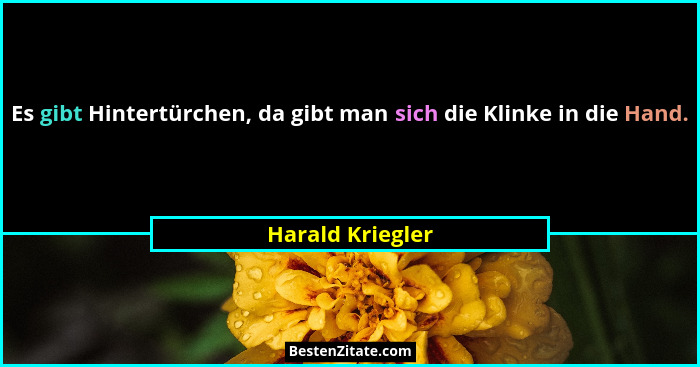 Es gibt Hintertürchen, da gibt man sich die Klinke in die Hand.... - Harald Kriegler