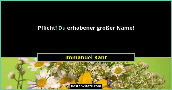 Pflicht! Du erhabener großer Name!... - Immanuel Kant