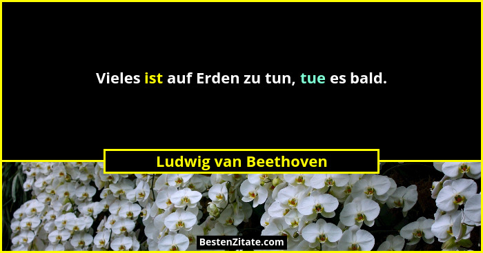 Vieles ist auf Erden zu tun, tue es bald.... - Ludwig van Beethoven