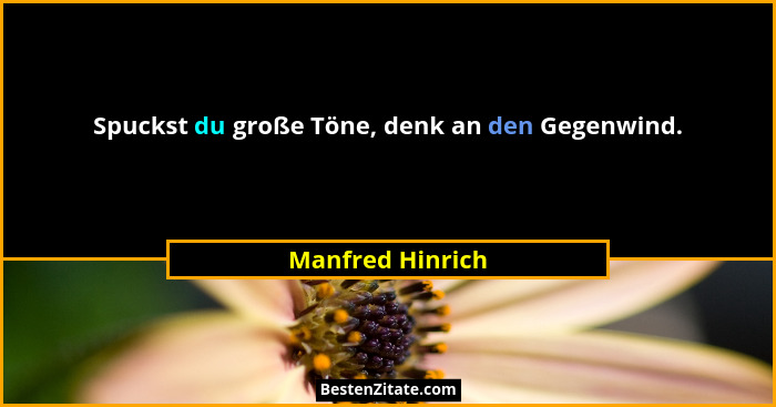Spuckst du große Töne, denk an den Gegenwind.... - Manfred Hinrich