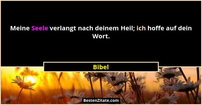 Meine Seele verlangt nach deinem Heil; ich hoffe auf dein Wort.... - Bibel