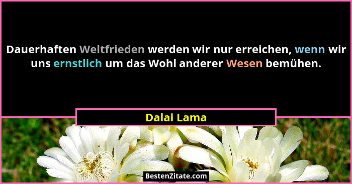 Dauerhaften Weltfrieden werden wir nur erreichen, wenn wir uns ernstlich um das Wohl anderer Wesen bemühen.... - Dalai Lama