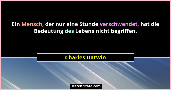 Ein Mensch, der nur eine Stunde verschwendet, hat die Bedeutung des Lebens nicht begriffen.... - Charles Darwin