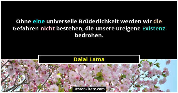 Ohne eine universelle Brüderlichkeit werden wir die Gefahren nicht bestehen, die unsere ureigene Existenz bedrohen.... - Dalai Lama