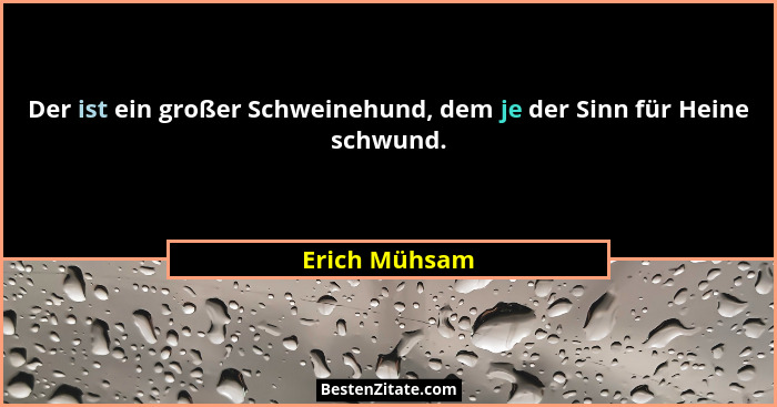 Der ist ein großer Schweinehund, dem je der Sinn für Heine schwund.... - Erich Mühsam