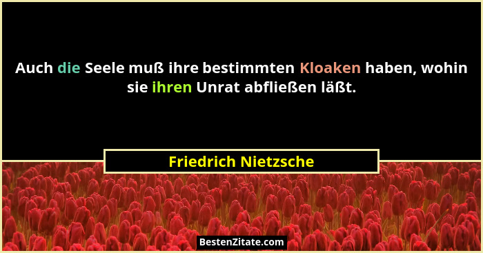 Auch die Seele muß ihre bestimmten Kloaken haben, wohin sie ihren Unrat abfließen läßt.... - Friedrich Nietzsche
