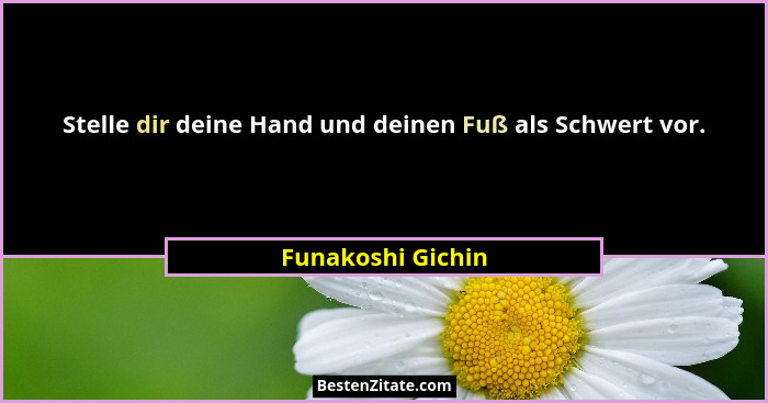 Stelle dir deine Hand und deinen Fuß als Schwert vor.... - Funakoshi Gichin