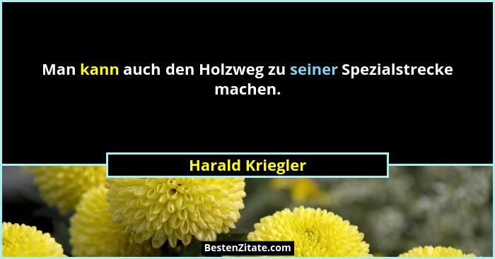 Man kann auch den Holzweg zu seiner Spezialstrecke machen.... - Harald Kriegler