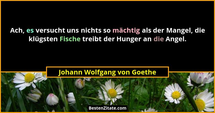 Ach, es versucht uns nichts so mächtig als der Mangel, die klügsten Fische treibt der Hunger an die Angel.... - Johann Wolfgang von Goethe