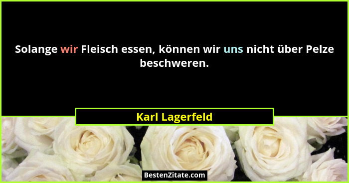 Solange wir Fleisch essen, können wir uns nicht über Pelze beschweren.... - Karl Lagerfeld