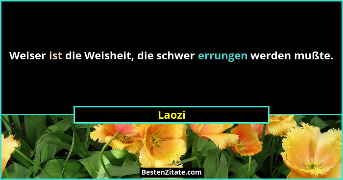 Weiser ist die Weisheit, die schwer errungen werden mußte.... - Laozi
