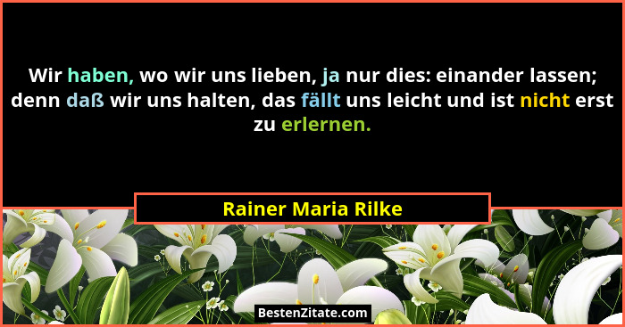 Wir haben, wo wir uns lieben, ja nur dies: einander lassen; denn daß wir uns halten, das fällt uns leicht und ist nicht erst zu e... - Rainer Maria Rilke