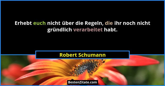 Erhebt euch nicht über die Regeln, die ihr noch nicht gründlich verarbeitet habt.... - Robert Schumann