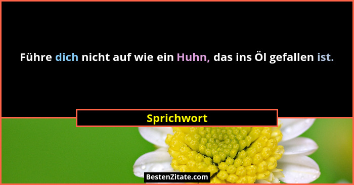 Führe dich nicht auf wie ein Huhn, das ins Öl gefallen ist.... - Sprichwort