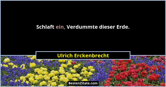 Schlaft ein, Verdummte dieser Erde.... - Ulrich Erckenbrecht