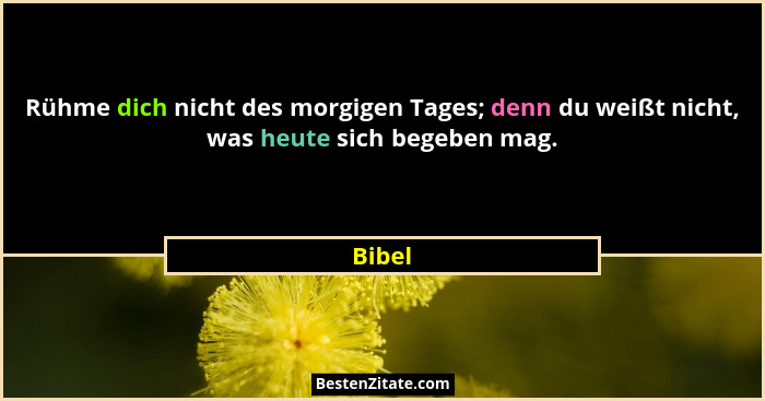 Rühme dich nicht des morgigen Tages; denn du weißt nicht, was heute sich begeben mag.... - Bibel