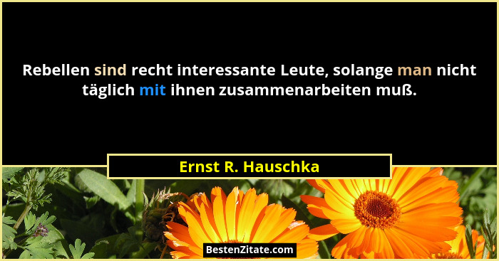 Rebellen sind recht interessante Leute, solange man nicht täglich mit ihnen zusammenarbeiten muß.... - Ernst R. Hauschka