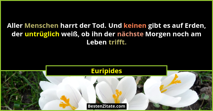 Aller Menschen harrt der Tod. Und keinen gibt es auf Erden, der untrüglich weiß, ob ihn der nächste Morgen noch am Leben trifft.... - Euripides