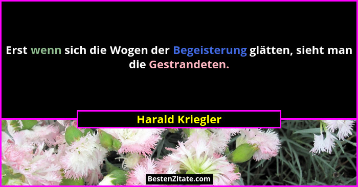 Erst wenn sich die Wogen der Begeisterung glätten, sieht man die Gestrandeten.... - Harald Kriegler