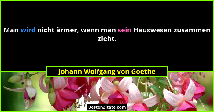 Man wird nicht ärmer, wenn man sein Hauswesen zusammen zieht.... - Johann Wolfgang von Goethe