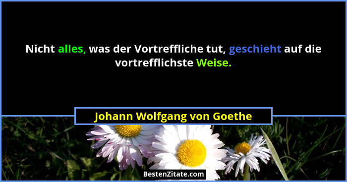 Nicht alles, was der Vortreffliche tut, geschieht auf die vortrefflichste Weise.... - Johann Wolfgang von Goethe