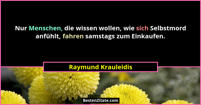 Nur Menschen, die wissen wollen, wie sich Selbstmord anfühlt, fahren samstags zum Einkaufen.... - Raymund Krauleidis